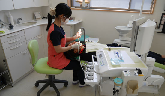歯の写真を使って説明している医師 歯の写真を使って説明している医師
